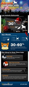 Pets and Fireworks