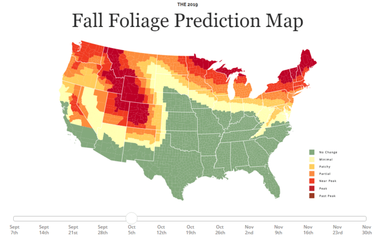 Fall Foliage- Scenic Road Trips | California Casualty