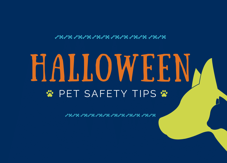 Halloween Safety Tips for Pets
