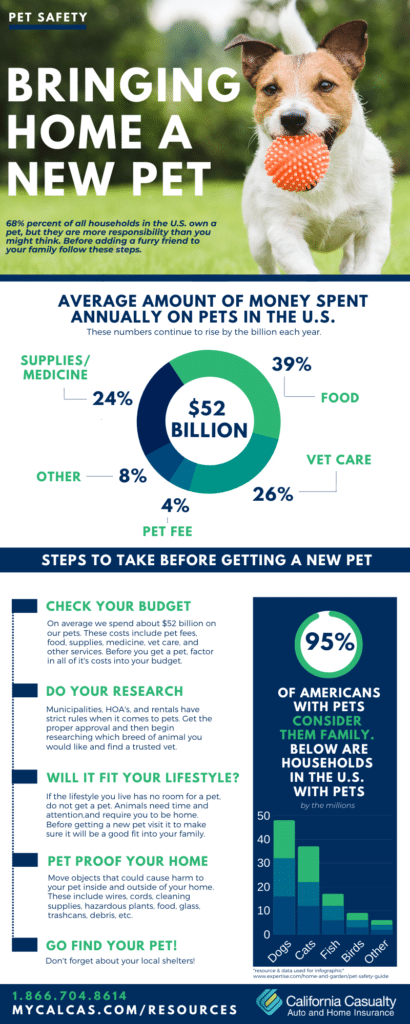 What To Do Before Getting a New Pet