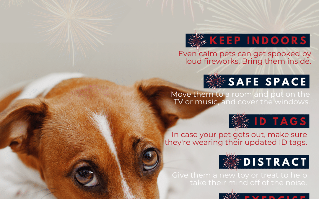 Firework Safety for Pets