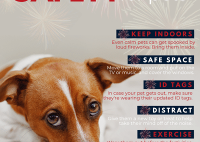Firework Safety for Pets