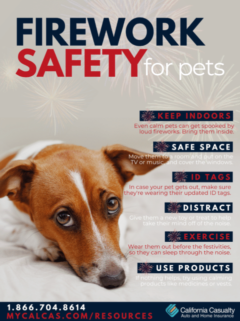 Firework Safety for Pets | California Casualty