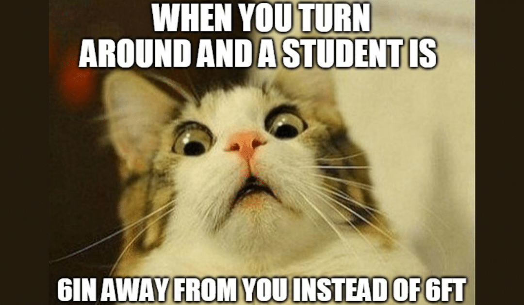 hilarious law school memes