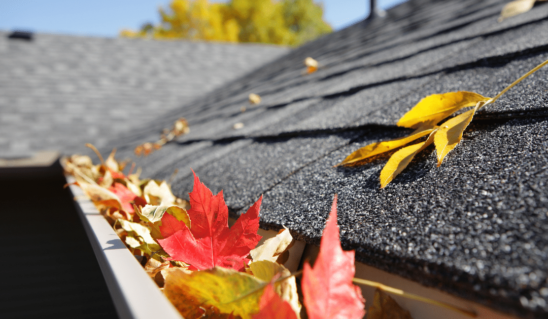 reasons to keep your gutters clean