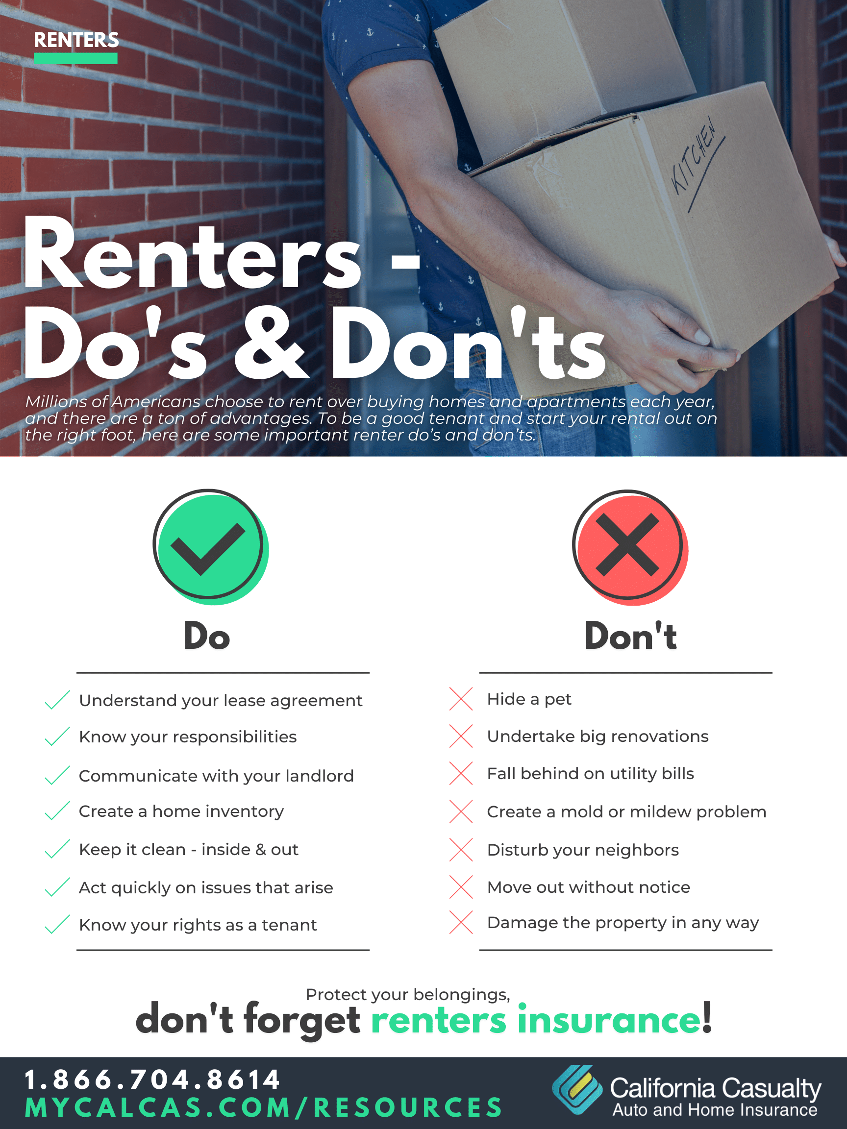 renting infographic