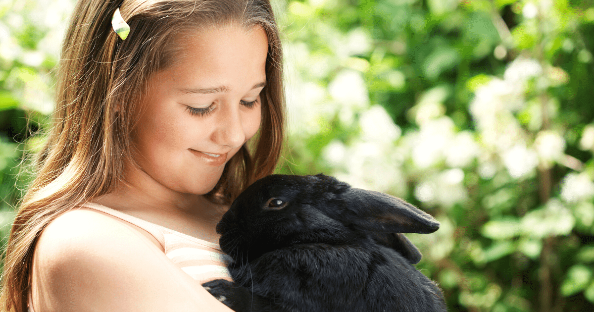 rabbit with owner