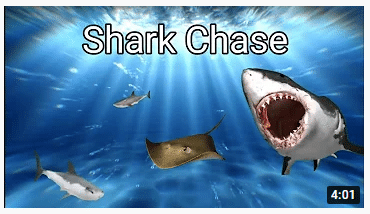 Shark Chase Game