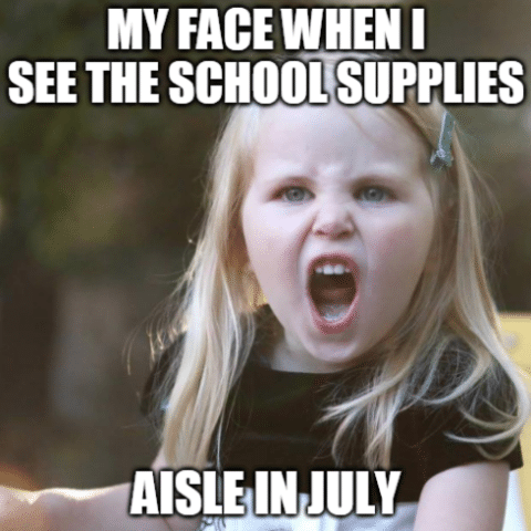 Teachers During the Summer Memes