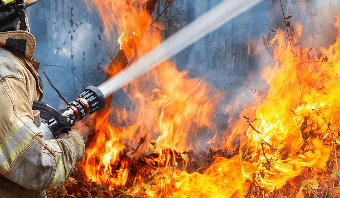 Fire Rehab in the Wildland: What Every Firefighter Should Know