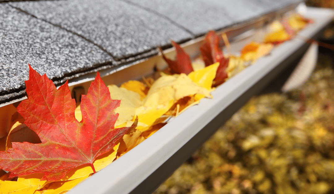 Fall Maintenance for Your Home Systems
