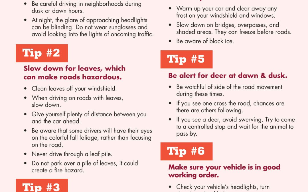 Safety Tips for Driving in the Fall