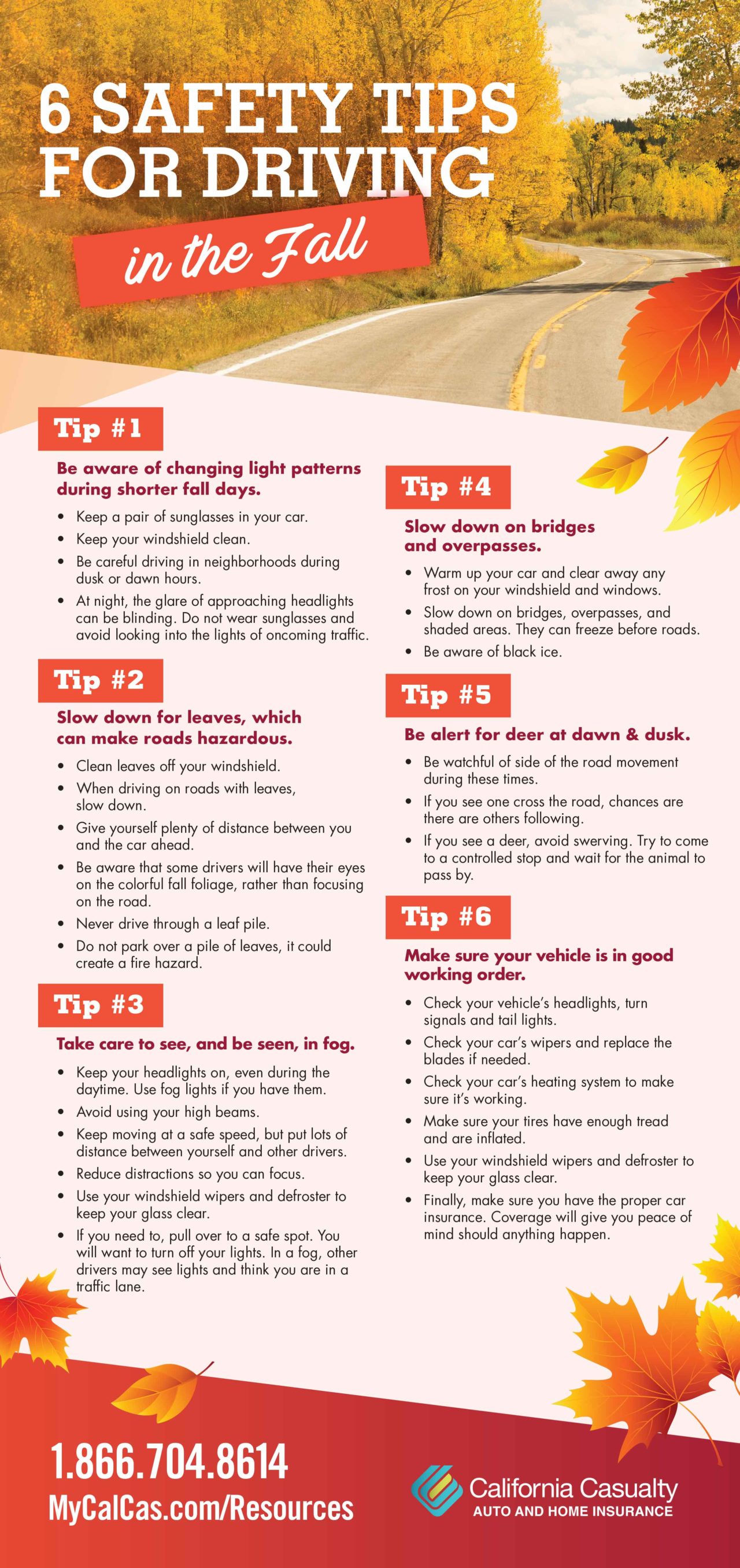 Safety Tips for Driving in the Fall | California Casualty