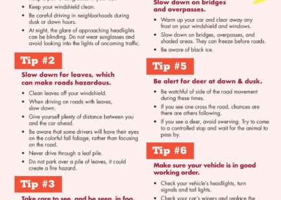 Safety Tips for Driving in the Fall
