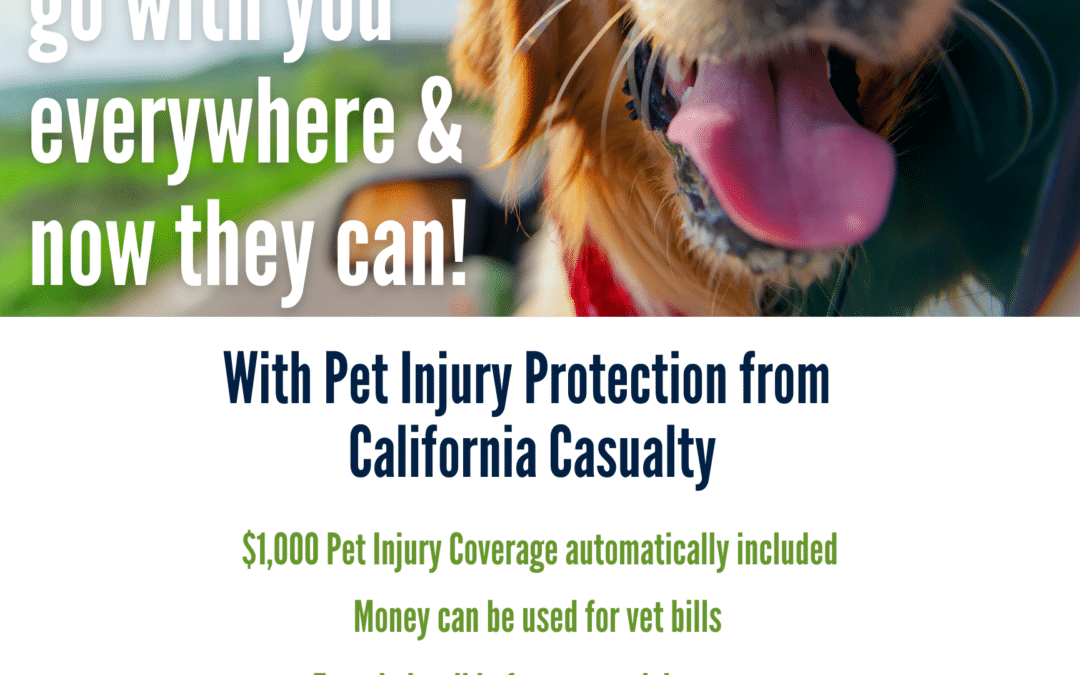 Pet Injury Protection