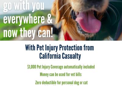 Pet Injury Protection