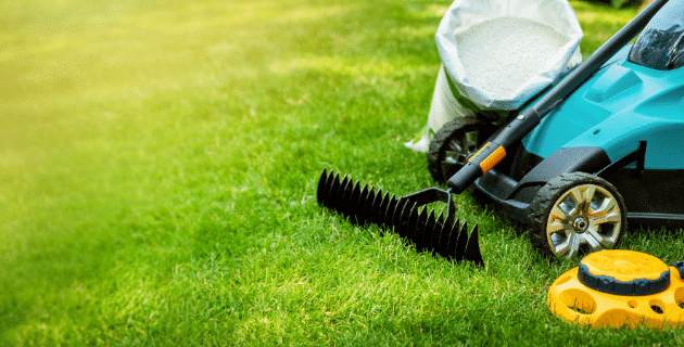 Lawn Mowing & Maintenance