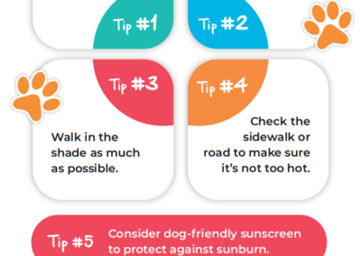 Tips to Safely Walk Your Dog in the Summer Heat