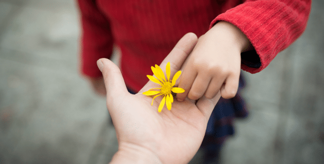 child placing a small wildflower in the hand of an adult