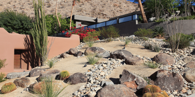 drought tolerant landscaping